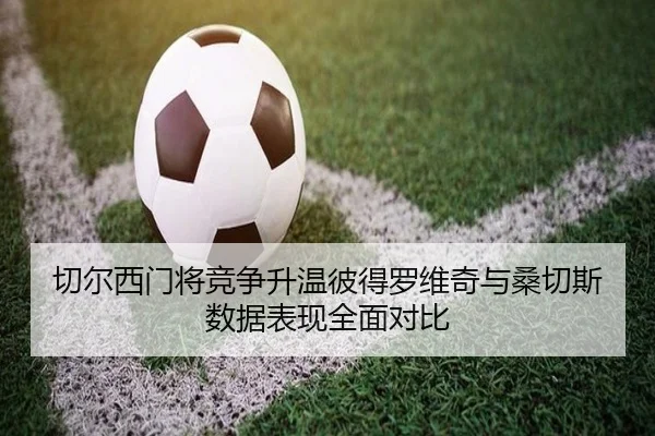 切尔西门将竞争升温彼得罗维奇与桑切斯数据表现全面对比