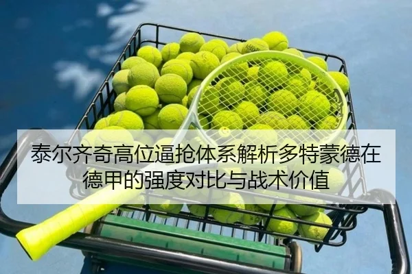 泰尔齐奇高位逼抢体系解析多特蒙德在德甲的强度对比与战术价值